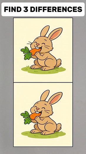 Look and find 3 differences 😍 | Captain Jack