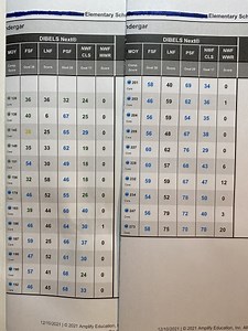 Video: 100% At/Above Level on Middle-of-the-Year DIBELS testing