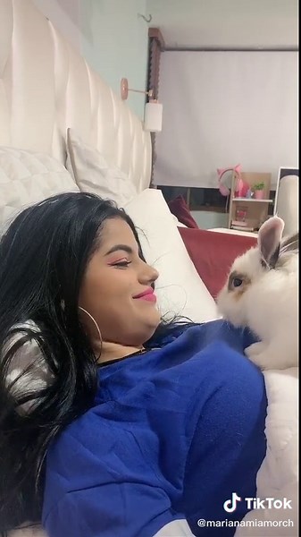 Cozy Bedroom Moments with a Playful Rabbit