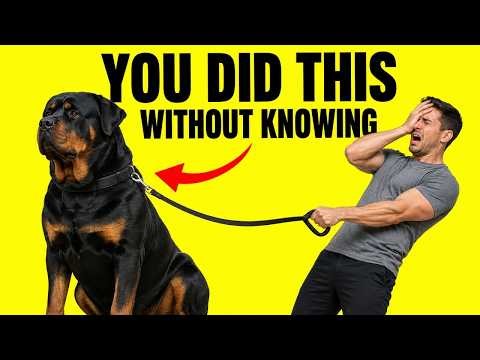 The Biggest Mistake New Rottweiler Owners Make (That Causes Problems Later)