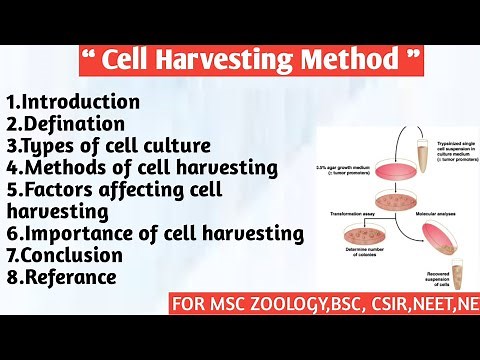 Cell Harvesting Method | Types | Method | Factor |Importance of cell harvesting method