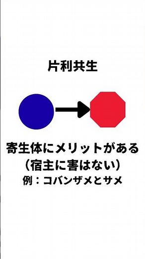 寄生虫の生態についてまとめ