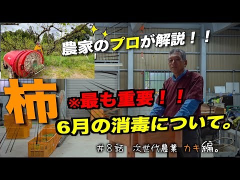 【消毒講座】絶対やってください！！6月最も重要！柿の消毒について｜農家のアドバイス