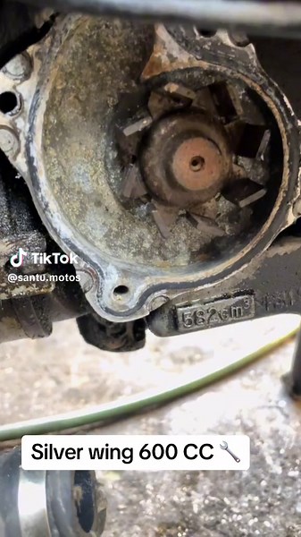 Exploring the Power of the Silver Wing 600 CC