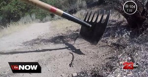 Tori's Trails; Kern River/Seven Tea Cups trail