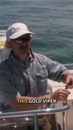 Trolling for walleye made easy: Jet Diver & Gold Viper fishing demonstration without downriggers