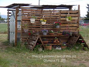 Watch Test video of the playback quality and format on Amazon Live