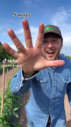 5 Tomato Tips for a Bumper Harvest