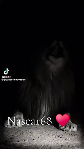 Nascar68 (@nascar682)’s videos with Lion Sound (feat. Relaxing Nature Sound, White Noise Ambience, Nature Sounds New Age, Soothing Sounds & National Geographic Nature Sounds) - Lion Sounds & Animals Sounds & National Geographic Soundscapes