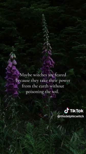 Empowering Nature: The Witch Connection to Earth