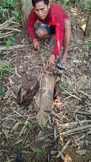 wow, there are so many children#trending #nature #bamboo1 #fishing #bambooacademy #sawah #wildlife