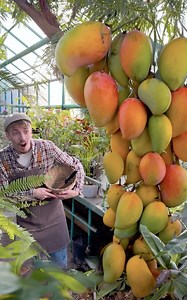 47K views · 141 reactions | She Turned A Mango Crop Into Something Beautiful You Can Wear 省 | 5-Minute Crafts Family | Facebook