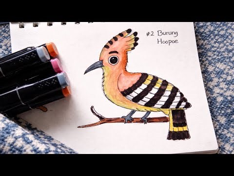 How to Draw a Hoopoe Bird Step by Step | Easy & Cute Bird Drawing Tutorial #2