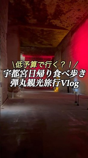【低予算】宇都宮の秘境観に弾丸日帰り旅vlog【一人旅】【観光】