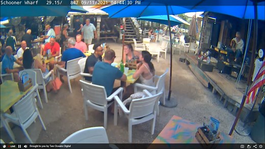 Key West Schooner Wharf Webcam Bar Live Video | Florida
