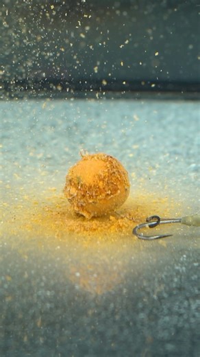 162K views · 915 reactions | Love a little hookbait prep? You'll love this one!  Pro-Stim Liver coated hookbaits! Build up the layers for maximum attraction!  #prostimliver #mooremeansmore #ccmoore | CC Moore & Co Ltd | Facebook