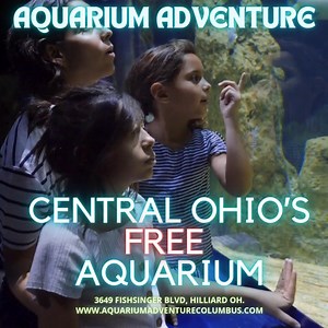 5.4K views · 11 reactions | ✨ Central Ohio’s FREE Aquarium Experience!  Bring your family and friends for a fun, unforgettable adventure while they're in town for the holidays. Explore, enjoy, and make memories together—right here at Aquarium Adventure!  #HolidayFun #FamilyDayOut #AquariumAdventure | Aquarium Adventure-Columbus | Facebook
