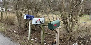 Welch calls for improved rural mail delivery