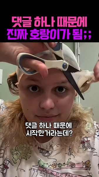 댓글 하나 때문에 진짜 호랑이가 되어버린 금손;; #그림그리기 #미술 #아트 #그림 #애니 #일러스트 #예술 #유머 #쇼츠 #웃긴영상