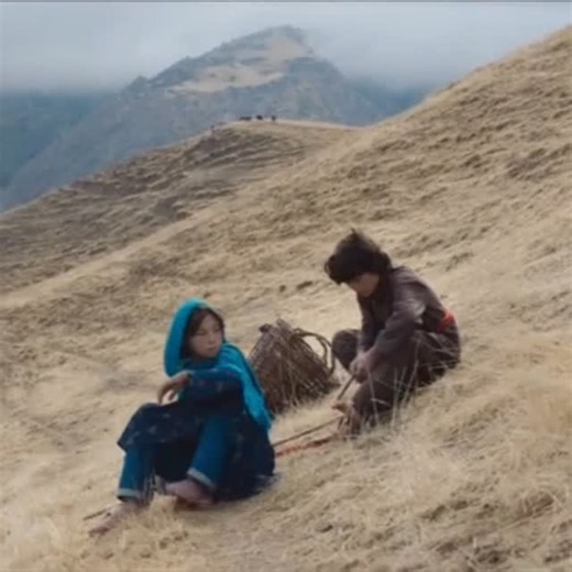 The Afghan Muse on Instagram: "Wolf and Sheep (2016) Directed by Shahrbanoo Sadat @shahrbanoo_sadat The film is inspired by unpublished diaries and observes daily life in remote Afghan shepherd communities. #WolfandSheep #WolfandSheep2016 #theafghanmuse #vibeyvidzz"
