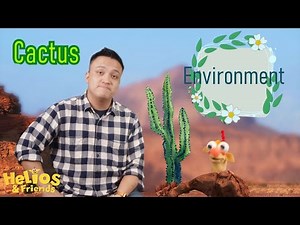 How Do Cactus Survive in the Desert? | Amazing Plant Adaptations Explained!