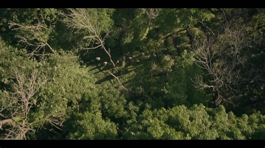 Task - Official Teaser