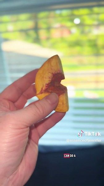 Replying to @Jen here’s the freeze dryer that I chose! #homesteading #itsjennagain #preserving #selfsufficient #freezedried