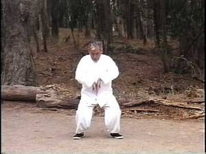 Wu Tai Chi Chuan - Part 1