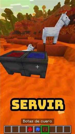 Minecraft JAVA VS BEDROCK Differences #15