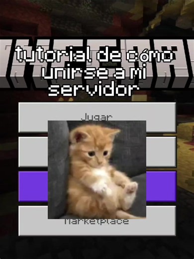 Servidor de Minecraft: cómo encontrar y unirse a uno