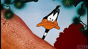 Rabbit Seasoning (1952)