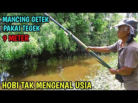 Casting gabus menggunakan kodok asli || Mancing gabus teknik getek