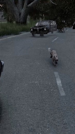 Huge Rats On DayZ #DayZ #dayzstandalone #dayzcommunity #gameplay #gaming #survivalgames #survivalgame #survivalhorror #ybwhiteboy | YBMedia