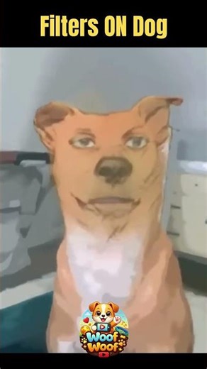 Dog With Funny Filters Is Hilarious 🤣🐕 #dogshorts
