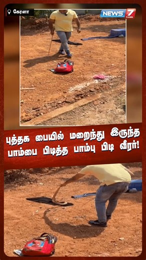News7 Tamil on Instagram: "புத்தக பையில் மறைந்து இருந்த பாம்பை பிடித்த பாம்பு பிடி வீரர் !! #kerala #snake #pythonvideos #viralvideo #News7Tamil"