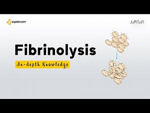 Hemostasis | Fibrinolysis | Physiology of Platelets, Clotting Factors and Fibrin | V-Learning™