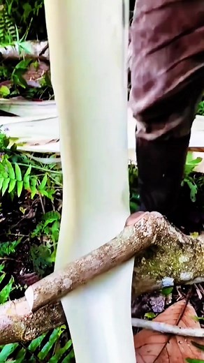 #fyp #foryou #tiktok #machingrepair #repair #lnteresting #machining