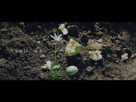 乃木坂46 『日常』Short Ver.