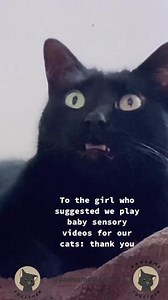 1M views · 55K reactions | Just tried it and it works  To people in the comments worried that the cat is frightened- frightened cats try to make themselves small, run away, or arch their backs and hiss to scare away the threat. They don't sit mesmerised with their mouth slightly open, that may mean horror or fear in a human face but cats, despite their intelligence, are not human ❤ | Cat Fur Nature .co.uk | Facebook