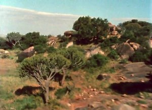 The Living Planet a Portrait of the Earth 12 New Worlds