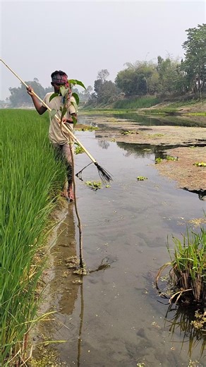 Amazing catch from deep river #handfish