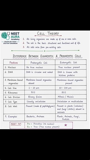 Cell Theory and the difference between Prokaryotic vs Eukaryotic Cells #shorts