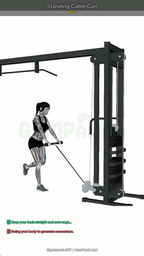 Standing Cable Curl - Perfect Form Guide #shorts