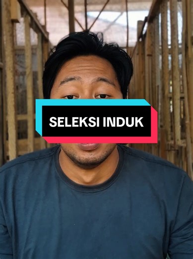 Memahami Kriteria Seleksi Induk dalam Korespondensi
