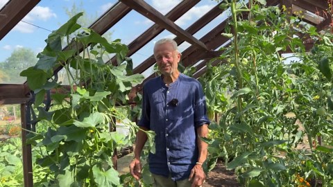 How to tell when vegetables are ready to harvest