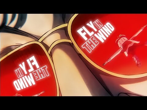 FLY × ONE PIECE EDIT | AMV