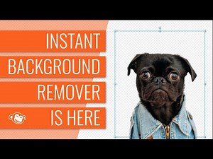 Instant Background Remover From PicMonkey!