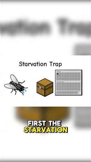 What happens to a bug when it travels with you in the car?