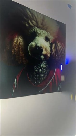 🐾❤️💛 Chiefs-Inspired Dog Wall Print 💛❤️🐾