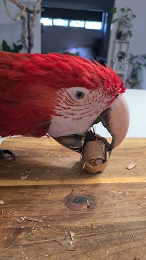 8.1K views · 422 reactions | Eddie's Flight Club on Reels | Facebook